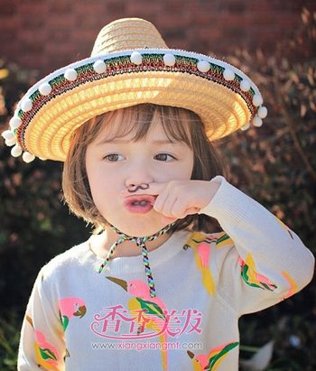 Сѧ�����̷����� 2016ʱ��Сѧ���̷�����