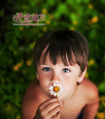 С�����޷��� С�к�����ͼƬ��ȫ