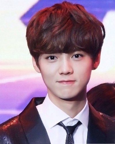 ��ʲô����������С 2016����õķ�������