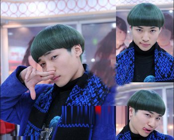 ����Ģ��ͷȾʲô��ɫ 2016�к�ͷ��������ɫ