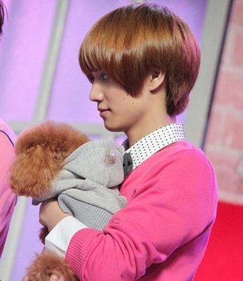 ����Ģ��ͷȾʲô��ɫ 2016�к�ͷ��������ɫ