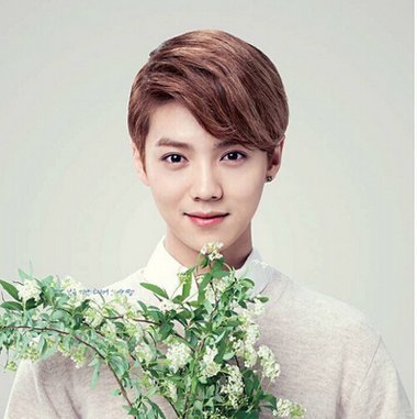 ˹�����ʺ�ʲô���� �к����ѡ���ʺ��Լ��ķ���