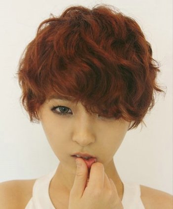 �ж̷����˾�����ͼƬ 2016���˾��̷�����