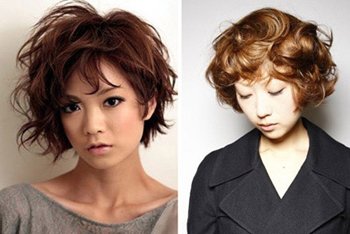 �̷�С�������� �̷�С��ͼƬ