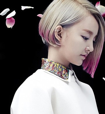 ������ɫ�����ֱ������ 2016��Ů����ֱ������