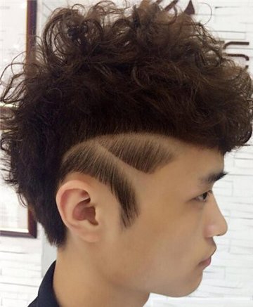 ���������Ƶķ���ͼƬ ���������߷���