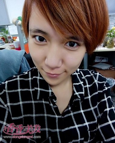 ��������ɫ�ʷ��� 2016��������ʽ������ɫ