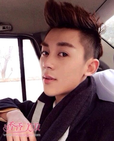 �ɻ�ͷ�����̷� ��ѧ���̷����Ƽ�ͼƬ