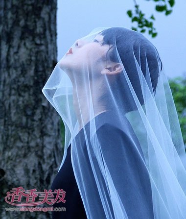 ���������ֱ�� �����е��ж�ֱ��