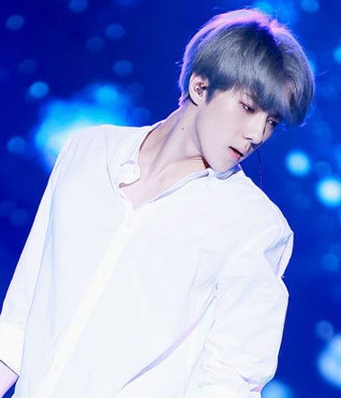 �ݵ������ʺ�ʲô���� �ʺ��ݵ������ķ���