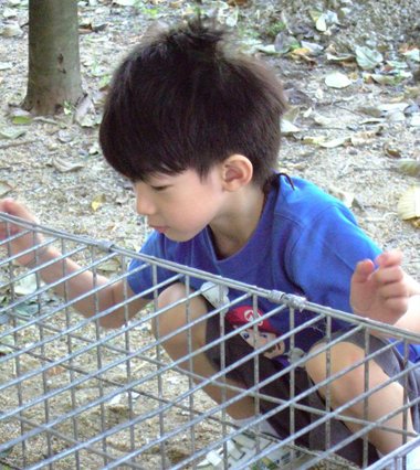 С�к������еķ��� С�����ķ���ͼƬ