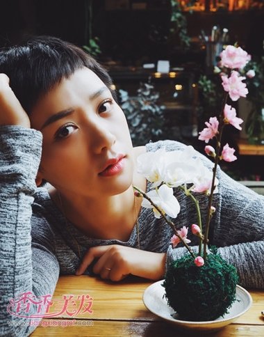 �ʺ��ݳ���������̷� �ݳ������ʺϵĶ̷�����Щ