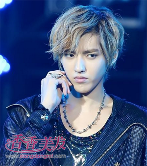 ��ʿ��ƫ���� ��θ��е�����˧�ķ���