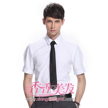 2016������ʲô�з��� 2016�ڹ�˾�ϰ��������ʿ�ķ���