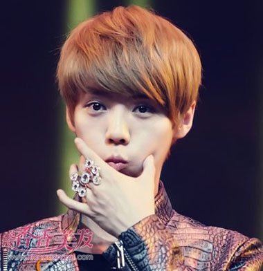 2017����������ʲô��ɫ��ͷ�� 2017��������ͷ����ɫ��ʿ