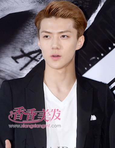 ����2016������ʲô��ɫ��ͷ�� 2016����ͷ������������ɫ