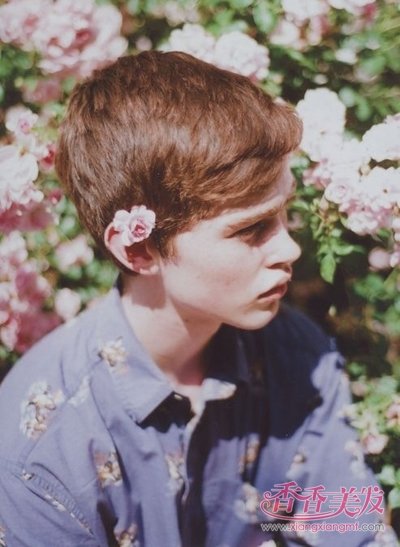 ���������̵ķ��� �̷�����ͼƬ2017��