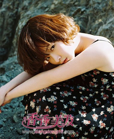 �̾������´��� �����˵Ķ̾���ͷ��ͼƬ