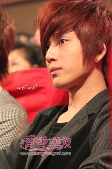 ����ͷ��Ⱦ����ɫ ǳ�ƺ�ɫ����ͷ��ͼƬ