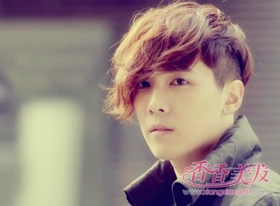 2017������н�ʲ 2017�������з���