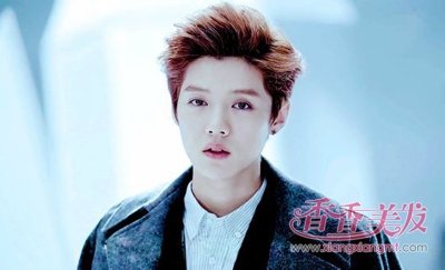 2017������н�ʲ 2017�������з���