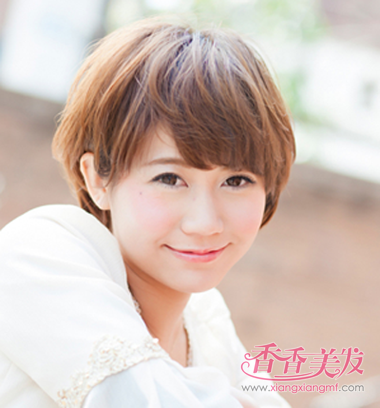 ��ô��ѧ���̷����� 2017�¿�Ůѧ���̷���