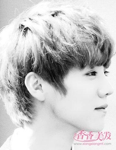 2017�����������з��� �����������Է���