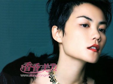 ����Ǹ��ʺ�ʲô���� �������ͺͷ��͵����