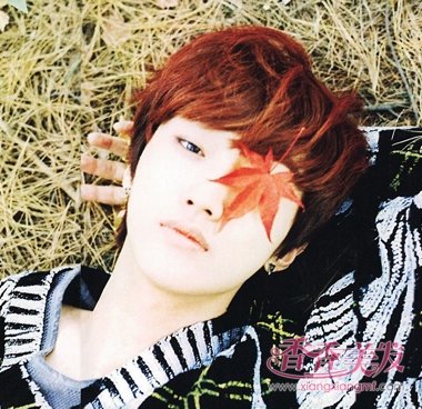 2017����ɶ������ɫ��˧ ��������ɫȾ������