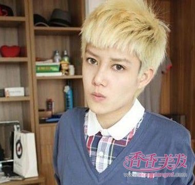 2017��Ⱦ����ɫ�ο���ȫ ����Ⱦ����ɫ������