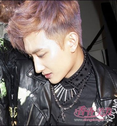 2017��Ⱦ����ɫ�ο���ȫ ����Ⱦ����ɫ������