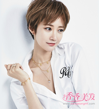 2017��ʲô���ķ������� 2017�����е��о�