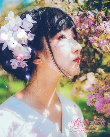 ��ͷ������������ͷ ��ͷ������ͷ������ͼ��