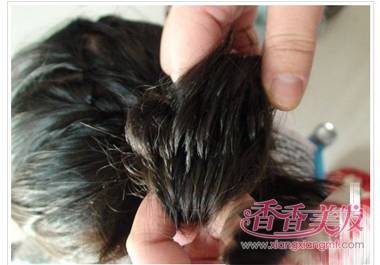 ������ͷ��������ͼ�� СŮ����ͷ��������