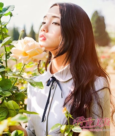 ¶��ͷ�������� ¶��ͷ������ô��