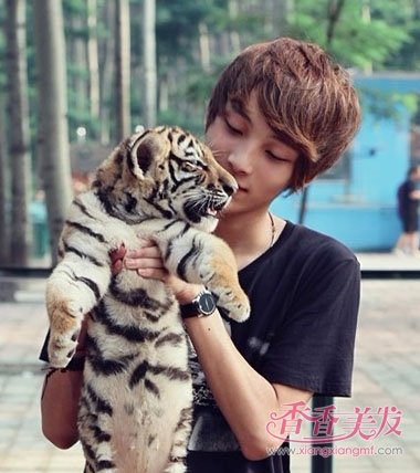 �������е���ʲô����˧ ���������ʺ�ɶ����