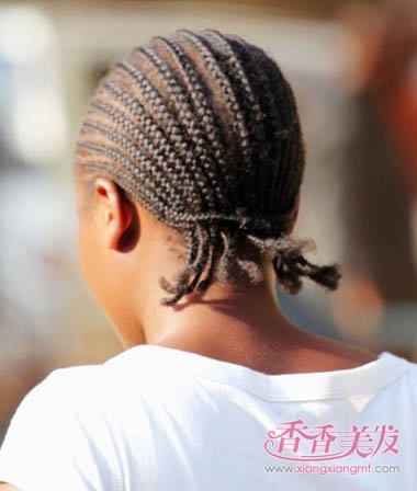 ����С���ӷ������� ���˺ܶ���ӵķ���