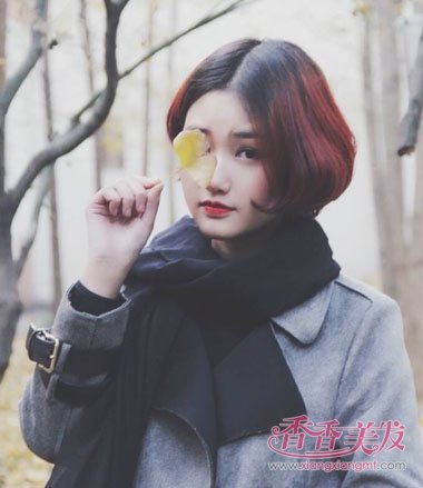 2017�պ������������� 2017�պ��ɰ��̷�����