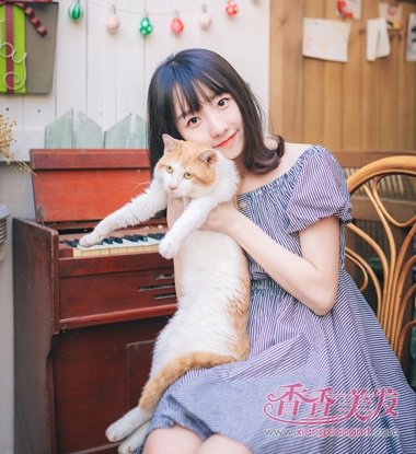 2017������С���� ����С���������