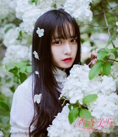 Բ���ʺ�ʲô���ķ��� 2017��Բ�ʺϵķ���