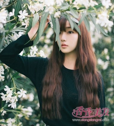 脸圆头大的人适合什么发型图片 又大又圆的脸适合做什么发型图片