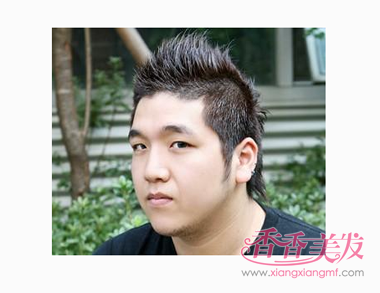 Բ��ƫ�ּ�ʲô���ͺ� ԲͷԲ�������������������ѡ������Ŷ