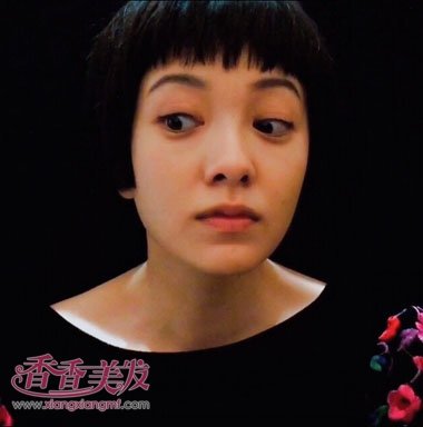 ���ɽ���Ƭ����̷� ����ֽ�����̷�����