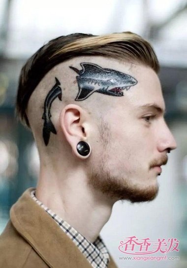 �����ѡͷ����ɫȾɫ ����ͷ��Ⱦͷ��Ⱦ��ʲô��ɫ