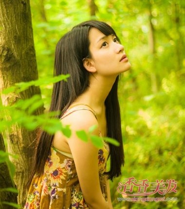 Բ��Ů���������� 2017��Բ�������з���