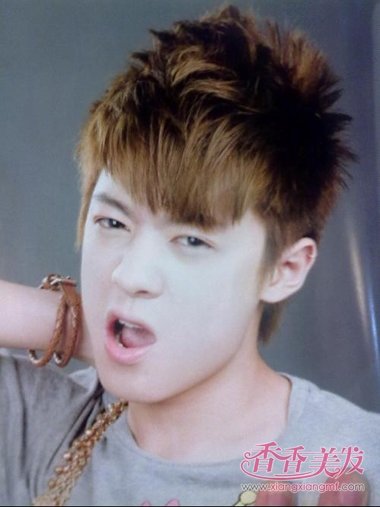 ��������ѧ���鷢 �������鷢+ͼ