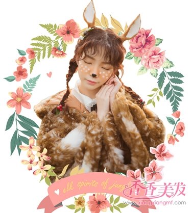 2017�궬����Ы�ӱ��Ӵ�ȫ �����ʺ���Ы�ӱ���