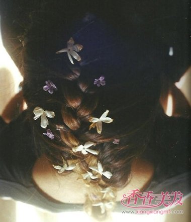 2017�궬����Ы�ӱ��Ӵ�ȫ �����ʺ���Ы�ӱ���