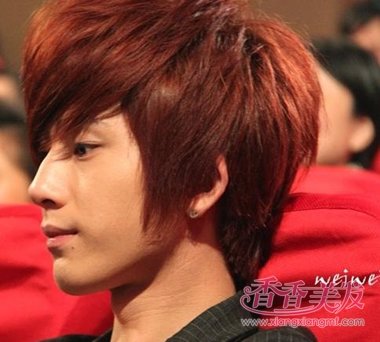 2019������Ⱦʲôͷ���ÿ� ����Ⱦ������Щ���������������ļ���