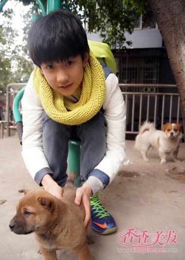 2017�������������еķ��� ����������˧������